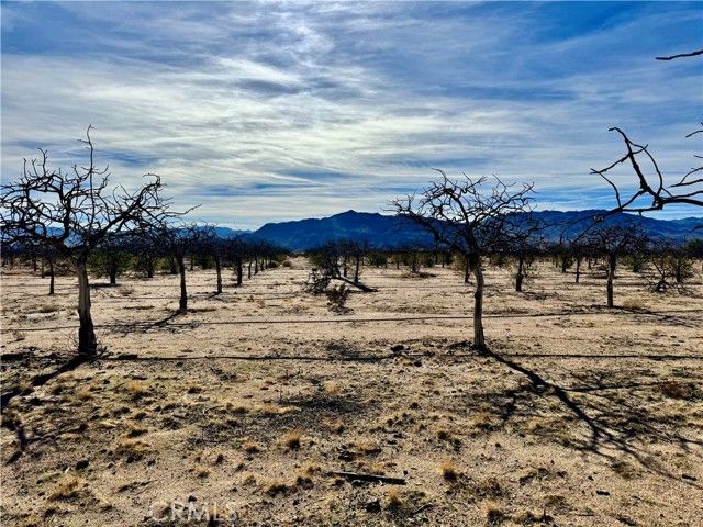 44823 Silver Valley, Newberry Springs, CA 92365