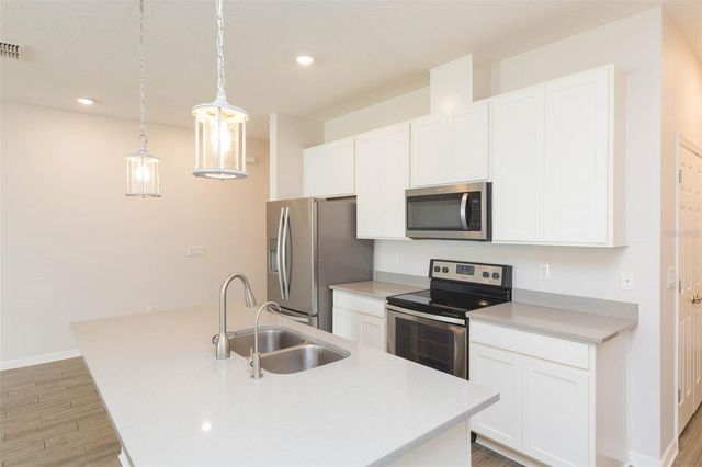 1119 LADY GOULDIAN COURT, Tampa, FL 33613