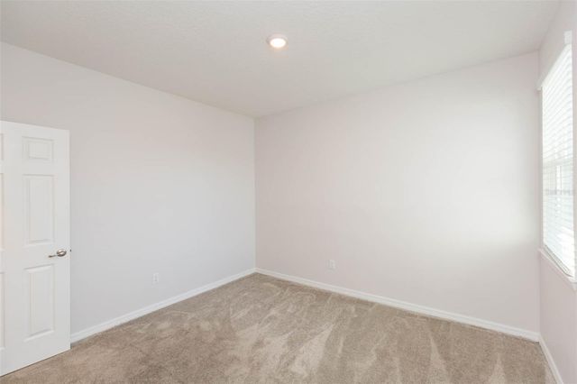 1119 LADY GOULDIAN COURT, Tampa, FL 33613