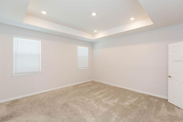 1119 LADY GOULDIAN COURT, Tampa, FL 33613