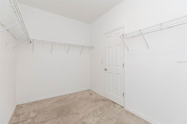 1119 LADY GOULDIAN COURT, Tampa, FL 33613