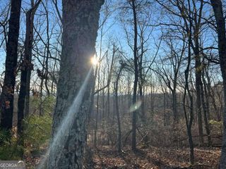 1171 Hunter Drive, Ranger, GA 30734