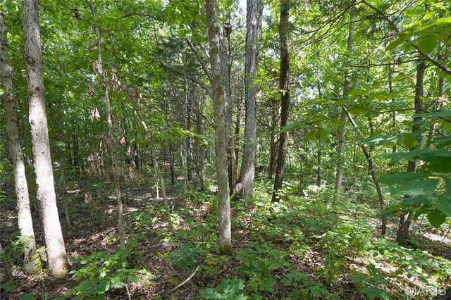 358 Highway P, Rhineland, MO 65069