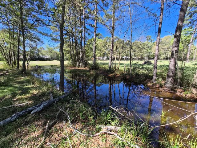 4610 Sloangate Drive, Spring, TX 77373