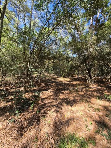 4610 Sloangate Drive, Spring, TX 77373