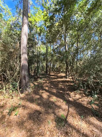 4610 Sloangate Drive, Spring, TX 77373