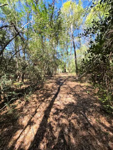 4610 Sloangate Drive, Spring, TX 77373