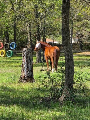 4610 Sloangate Drive, Spring, TX 77373