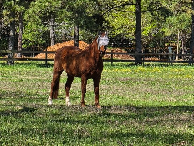 4610 Sloangate Drive, Spring, TX 77373