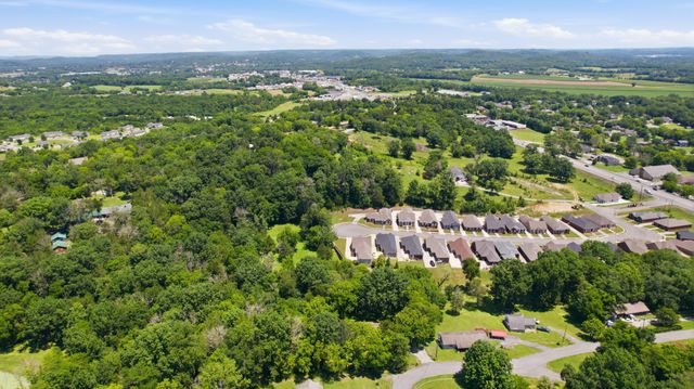 215 Wallace Dr, Fayetteville, TN 37334