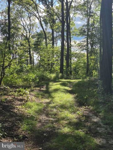 00 MILL DR, Halifax, PA 17032