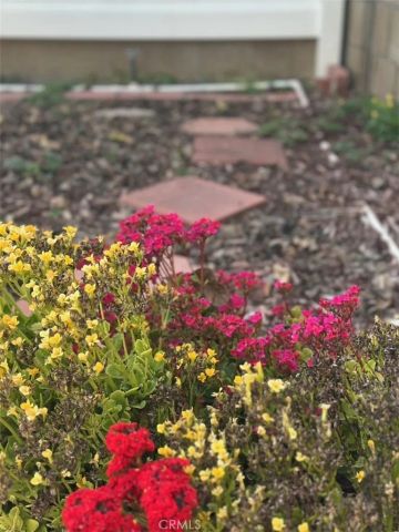 6849 Whitman Drive, Buena Park, CA 90620