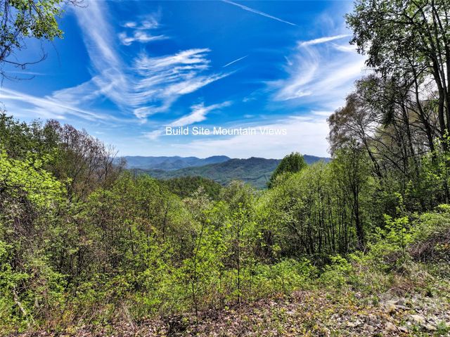 9999 Divit Road 45, Waynesville, NC 28785
