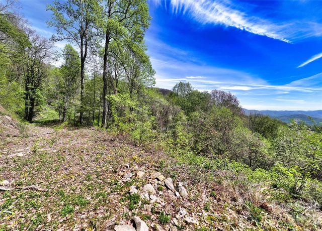 9999 Divit Road 45, Waynesville, NC 28785