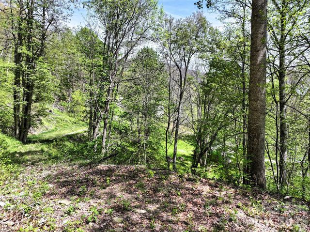 9999 Divit Road 45, Waynesville, NC 28785