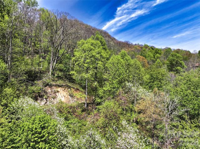 9999 Divit Road 45, Waynesville, NC 28785