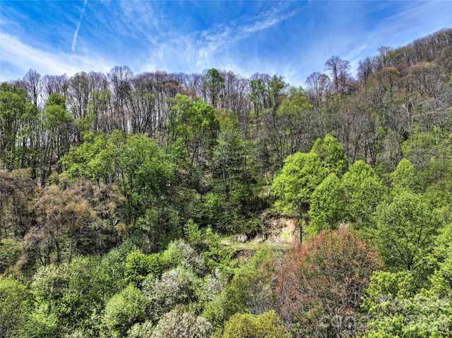 9999 Divit Road 45, Waynesville, NC 28785