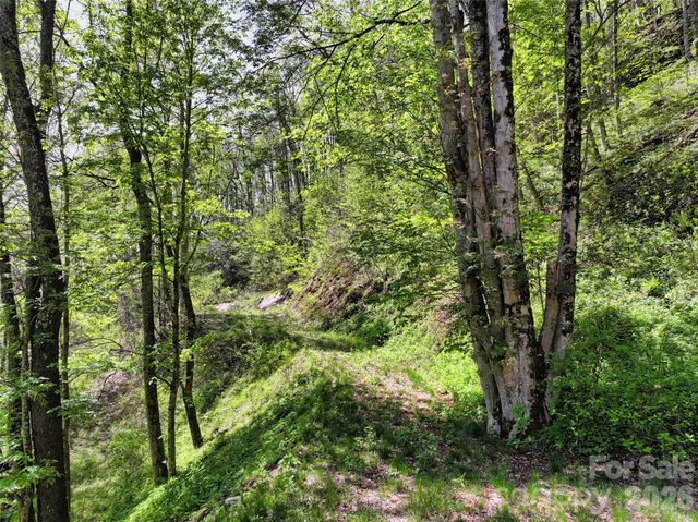 9999 Divit Road 45, Waynesville, NC 28785