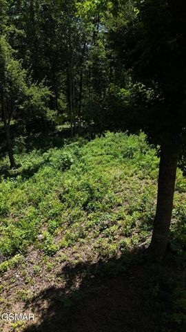 Lot 12 Cherokee Drive, Dandridge, TN 37725