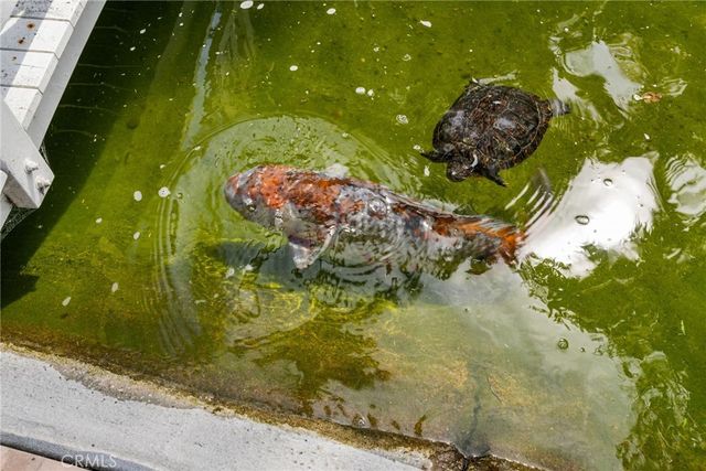 3207 Sangre De Toro, San Clemente, CA 92673