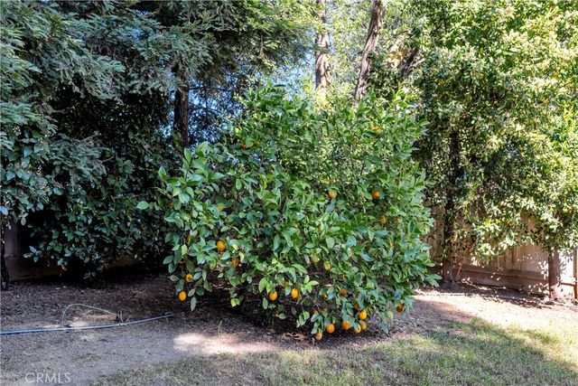 16 Silkwood, Chico, CA 95973