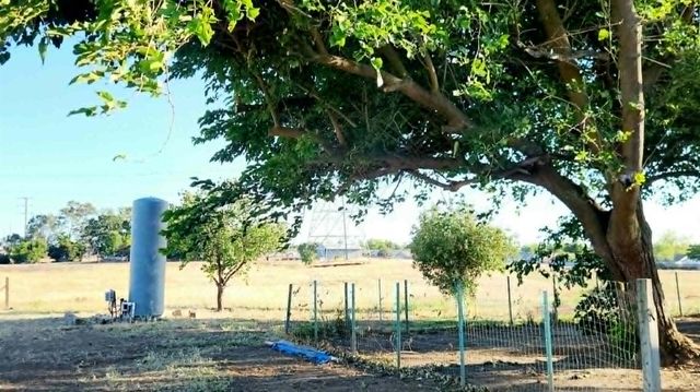 9244 Rogers Rd, Sacramento, CA 95829