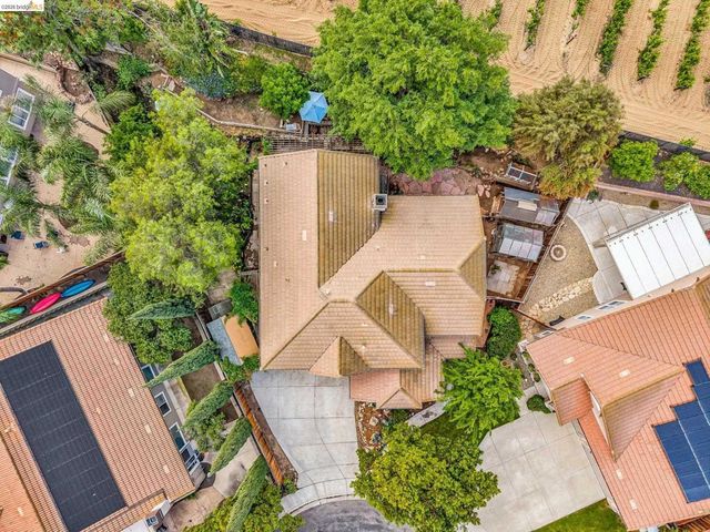 10 Kali Ct, Oakley, CA 94561