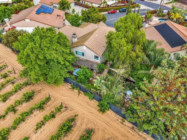 10 Kali Ct, Oakley, CA 94561