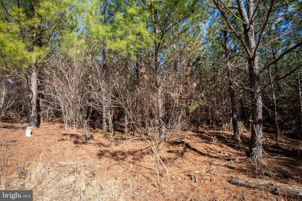 Image 10 of property listing at TBD W GRETNA, Sandy Level, VA 24161