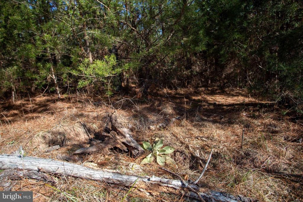 Image 12 of property listing at TBD W GRETNA, Sandy Level, VA 24161