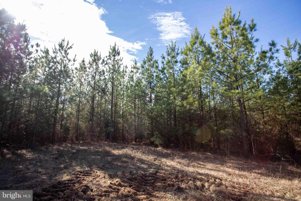 Image 14 of property listing at TBD W GRETNA, Sandy Level, VA 24161