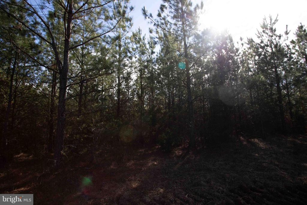 Image 17 of property listing at TBD W GRETNA, Sandy Level, VA 24161