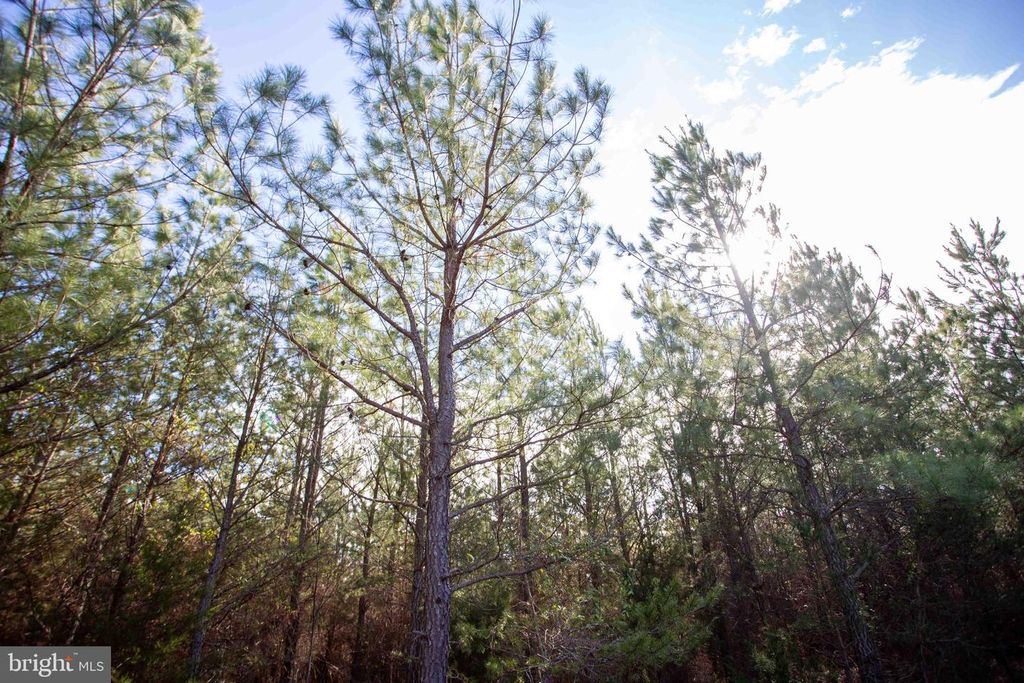 Image 18 of property listing at TBD W GRETNA, Sandy Level, VA 24161