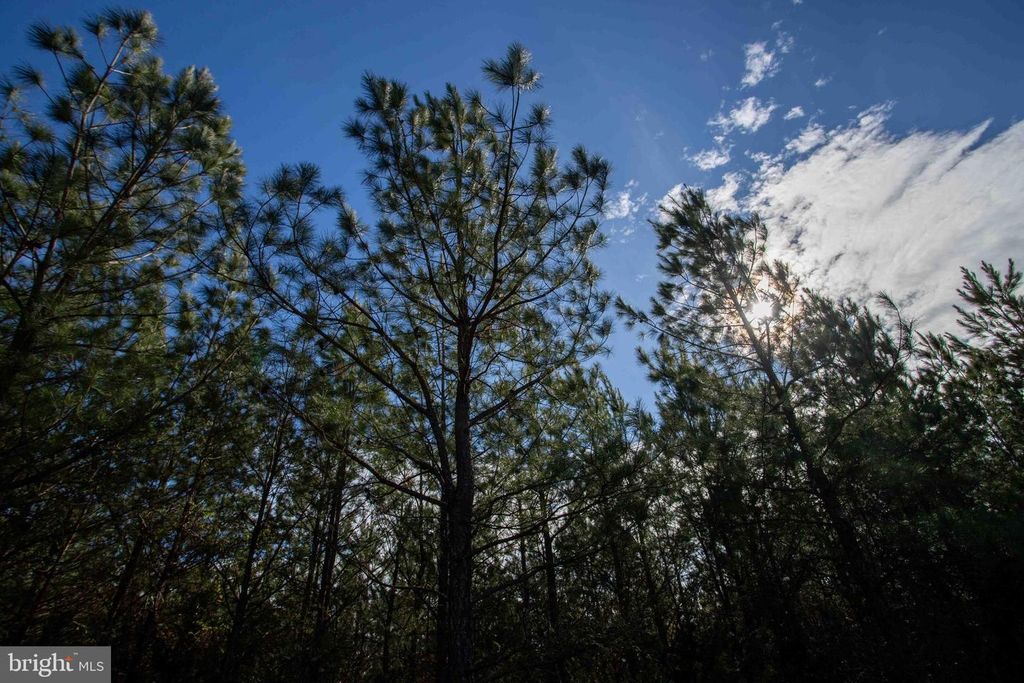 Image 19 of property listing at TBD W GRETNA, Sandy Level, VA 24161