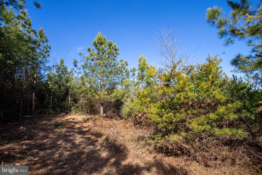 Image 2 of property listing at TBD W GRETNA, Sandy Level, VA 24161