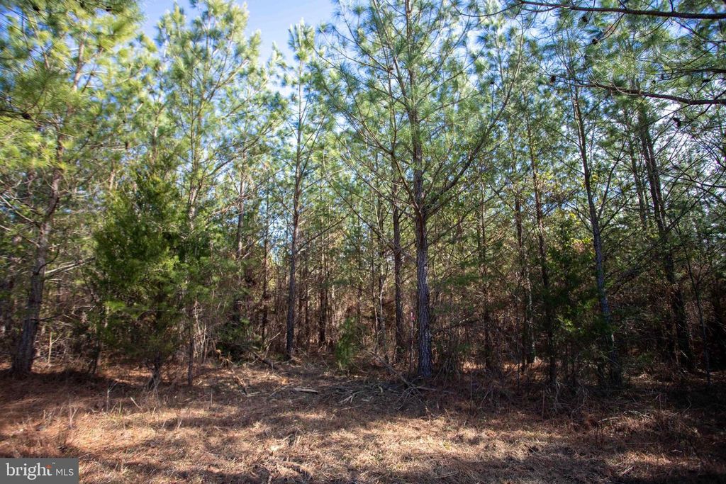 Image 20 of property listing at TBD W GRETNA, Sandy Level, VA 24161