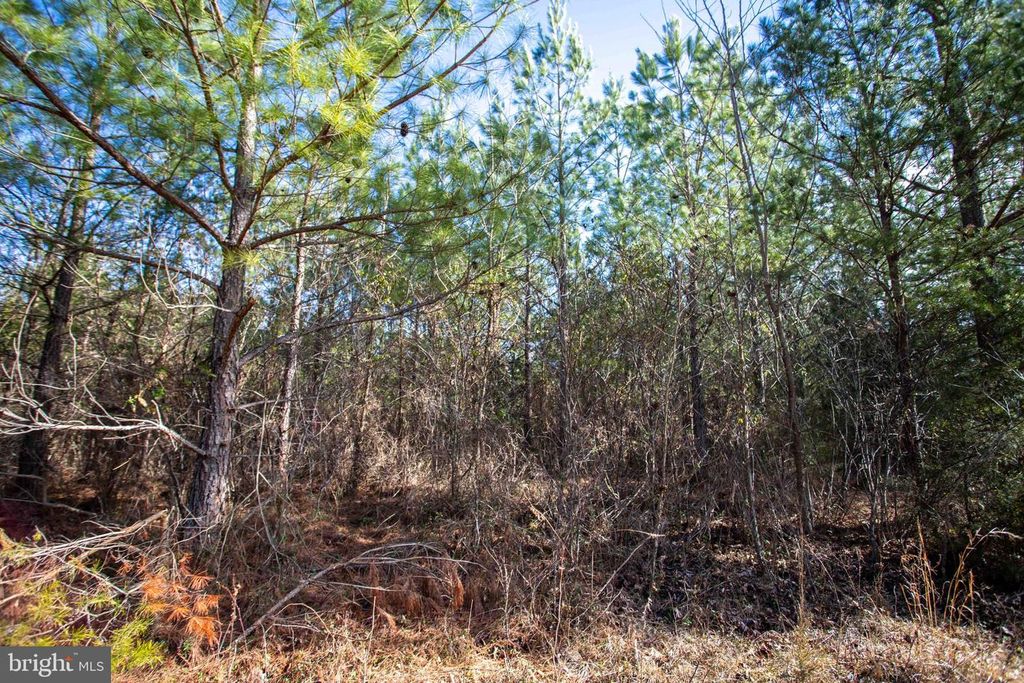 Image 22 of property listing at TBD W GRETNA, Sandy Level, VA 24161