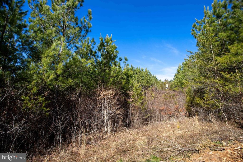 Image 23 of property listing at TBD W GRETNA, Sandy Level, VA 24161