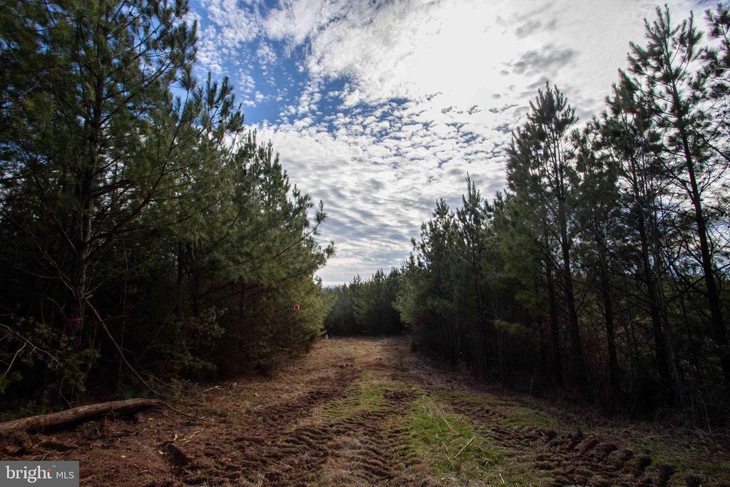 Image 24 of property listing at TBD W GRETNA, Sandy Level, VA 24161