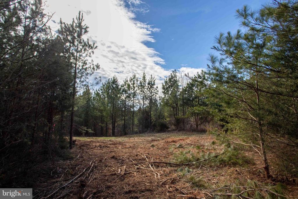 Image 25 of property listing at TBD W GRETNA, Sandy Level, VA 24161