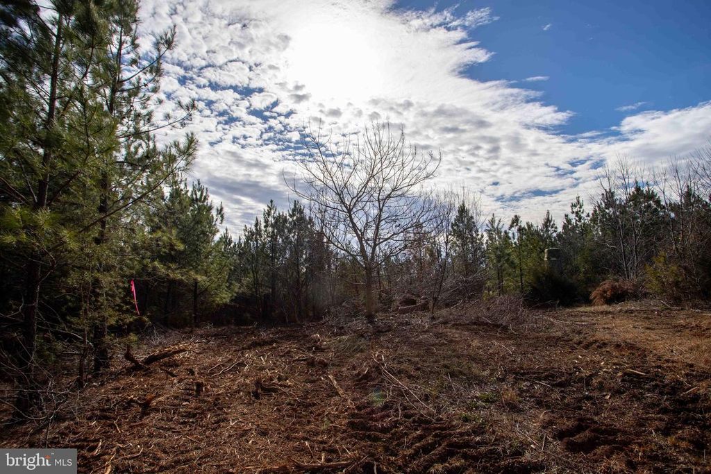 Image 26 of property listing at TBD W GRETNA, Sandy Level, VA 24161