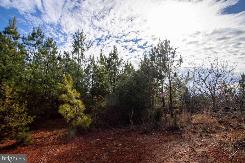 Image 27 of property listing at TBD W GRETNA, Sandy Level, VA 24161