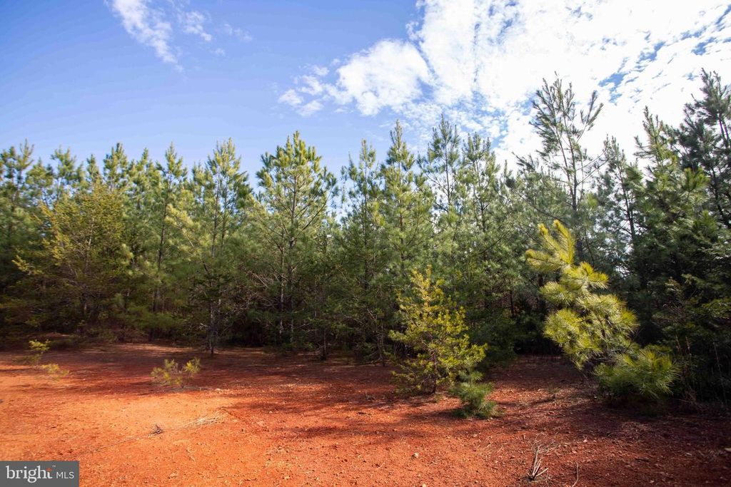 Image 28 of property listing at TBD W GRETNA, Sandy Level, VA 24161