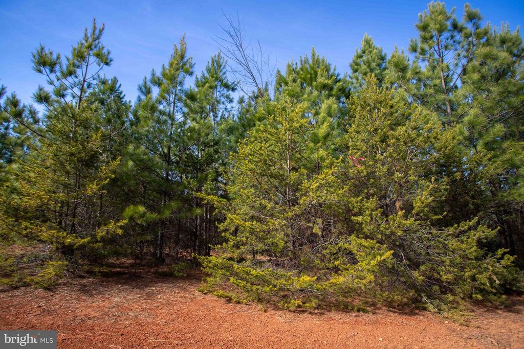 Image 29 of property listing at TBD W GRETNA, Sandy Level, VA 24161