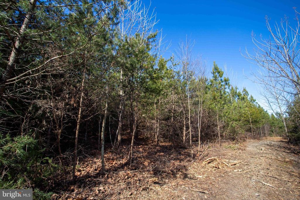 Image 3 of property listing at TBD W GRETNA, Sandy Level, VA 24161