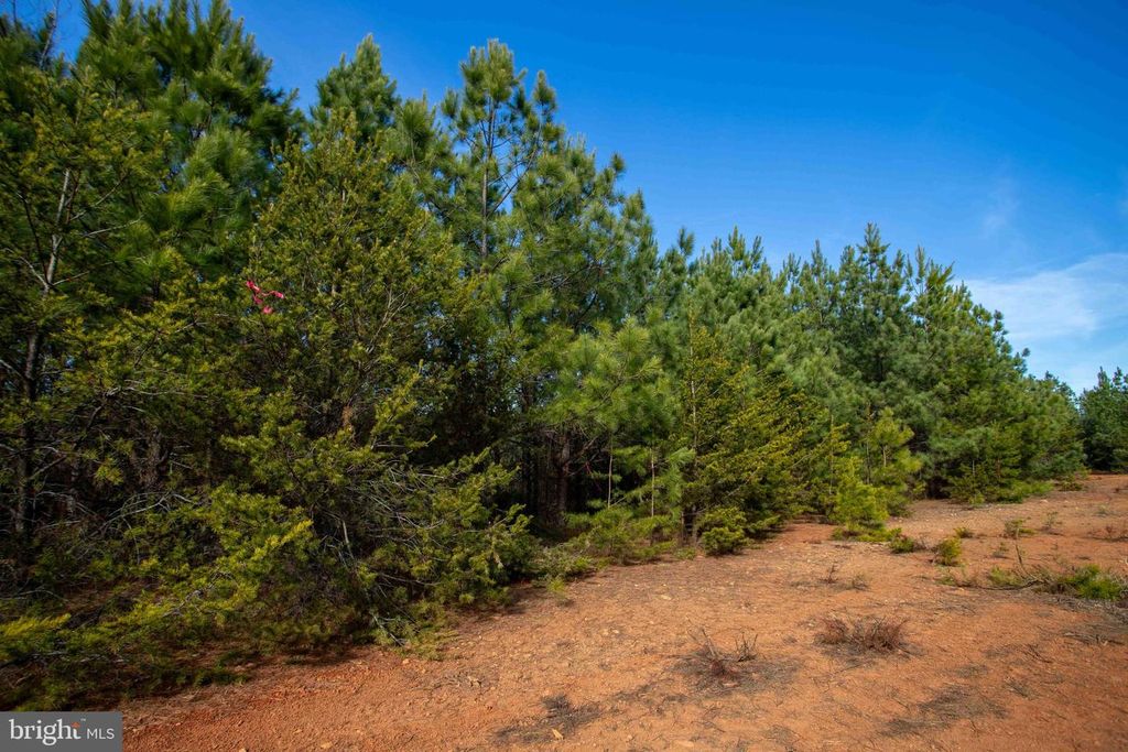 Image 30 of property listing at TBD W GRETNA, Sandy Level, VA 24161