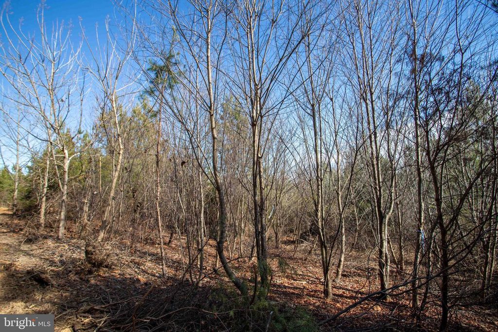 Image 4 of property listing at TBD W GRETNA, Sandy Level, VA 24161