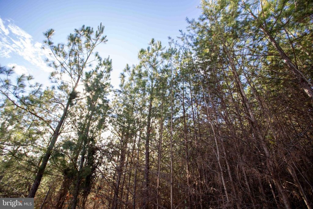 Image 6 of property listing at TBD W GRETNA, Sandy Level, VA 24161