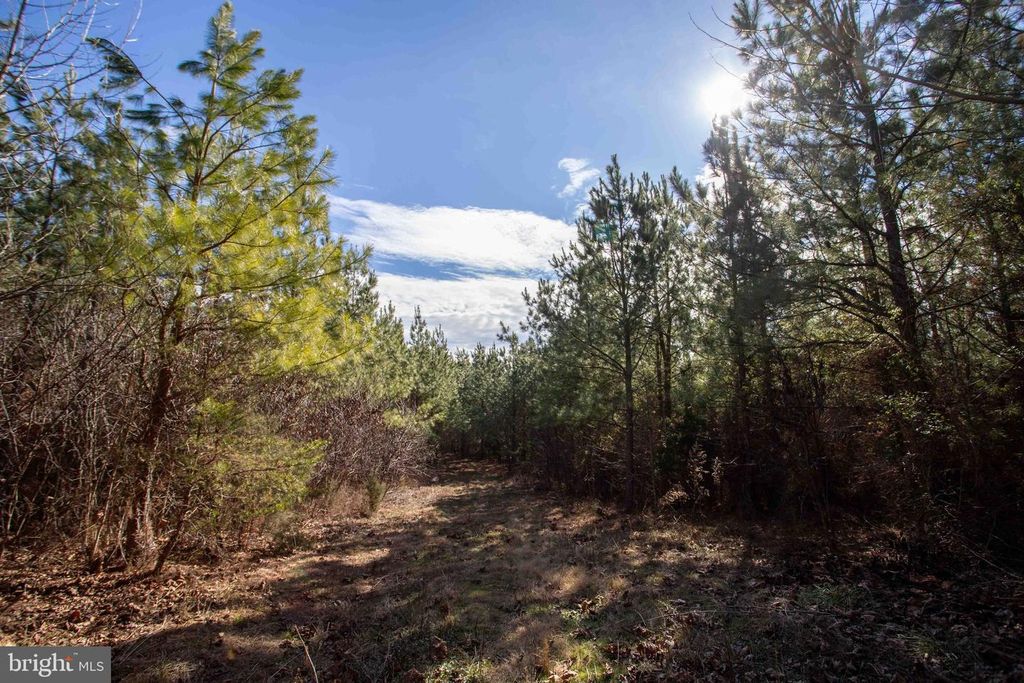 Image 7 of property listing at TBD W GRETNA, Sandy Level, VA 24161