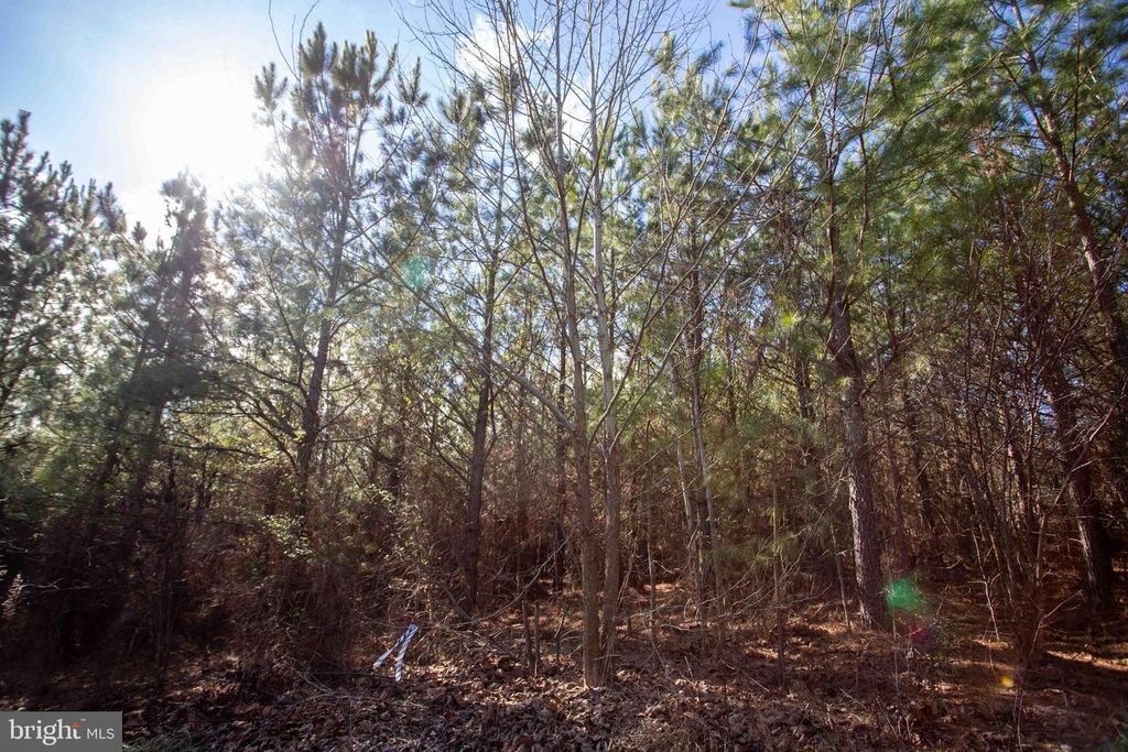 Image 8 of property listing at TBD W GRETNA, Sandy Level, VA 24161